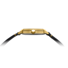 Feynman Q - Malachite (Preorder)