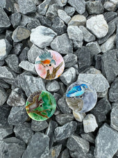 Feynman Coalesce - Bird series deposit