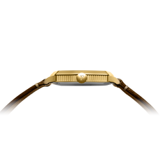 Feynman Q - Tiger's Eye (Preorder February 2026)